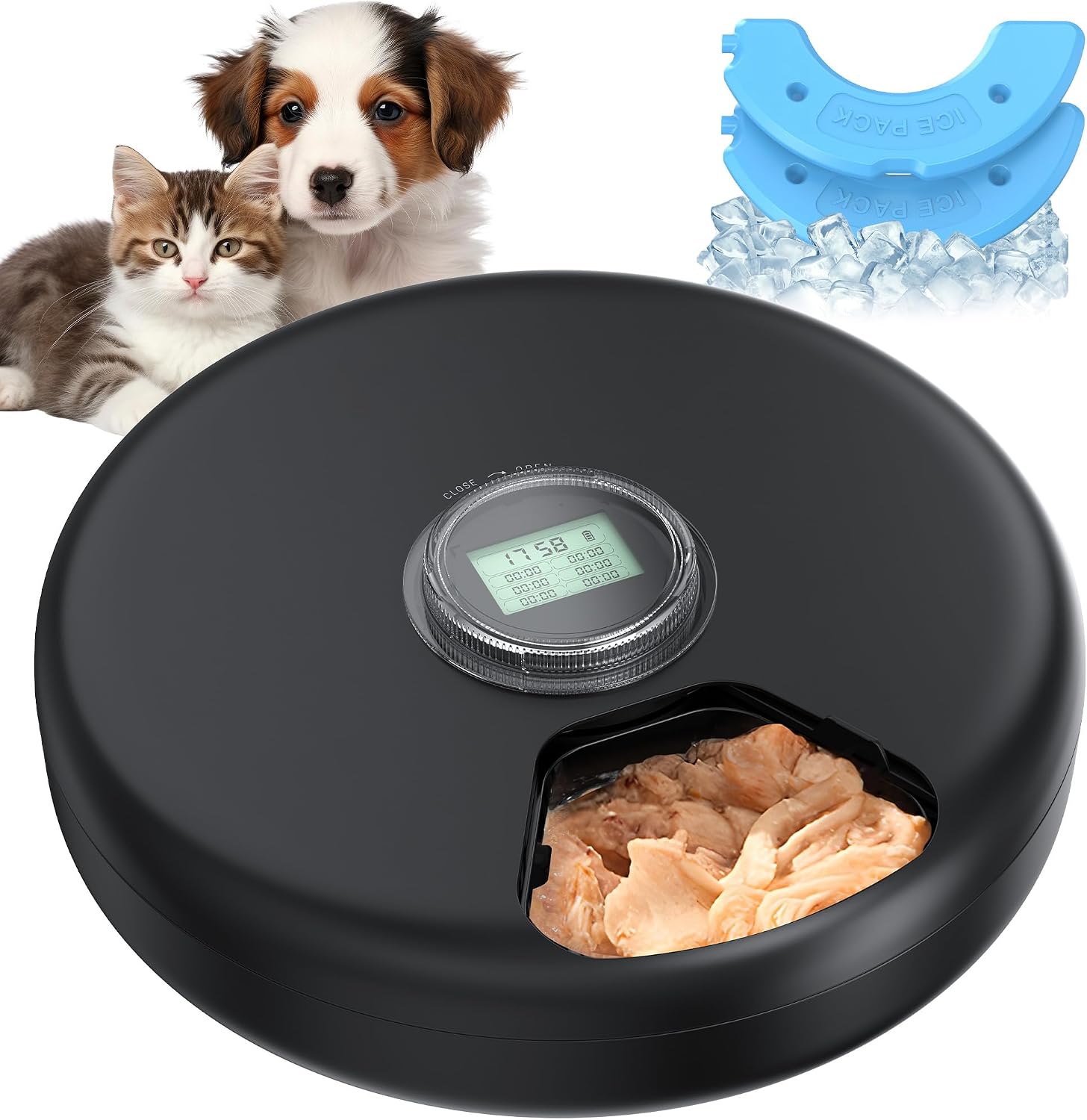 Detalle de Distributore automatico cibo per gatti 3AA ⏺️🐱