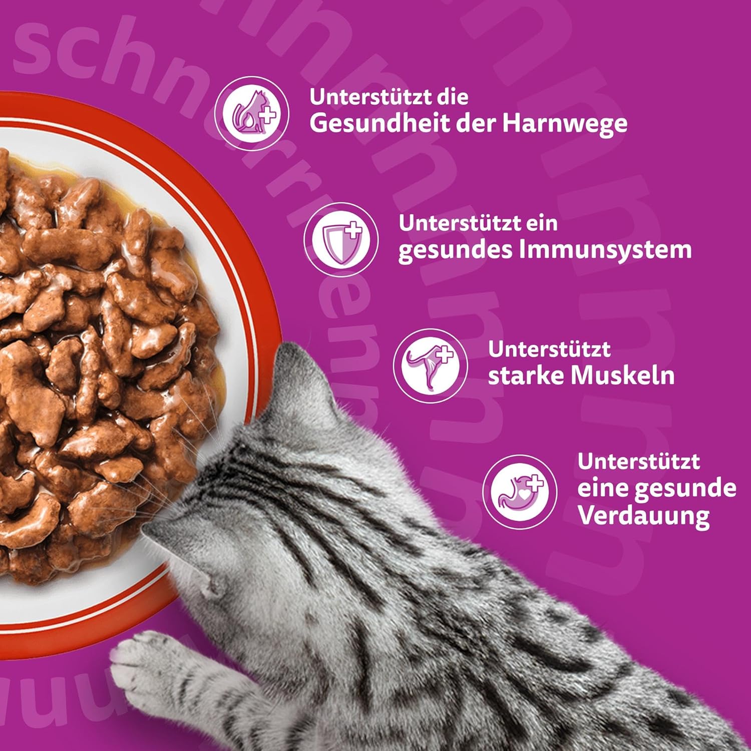 Detalle de Whiskas 7+ Katzenfutter Klassische Auswahl in Sauce – 12x85 g (4× Pack) für Katzen ab 7 Jahren