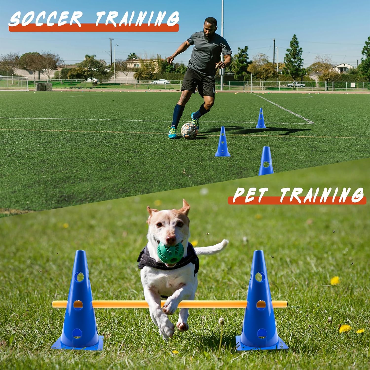 Detalle de Zazafolora Agility Set Hunde Groß: Cavaletti & Hindernisse für Hundetraining – 32 cm Höhe, 8 Stangen, 8 Kegel
