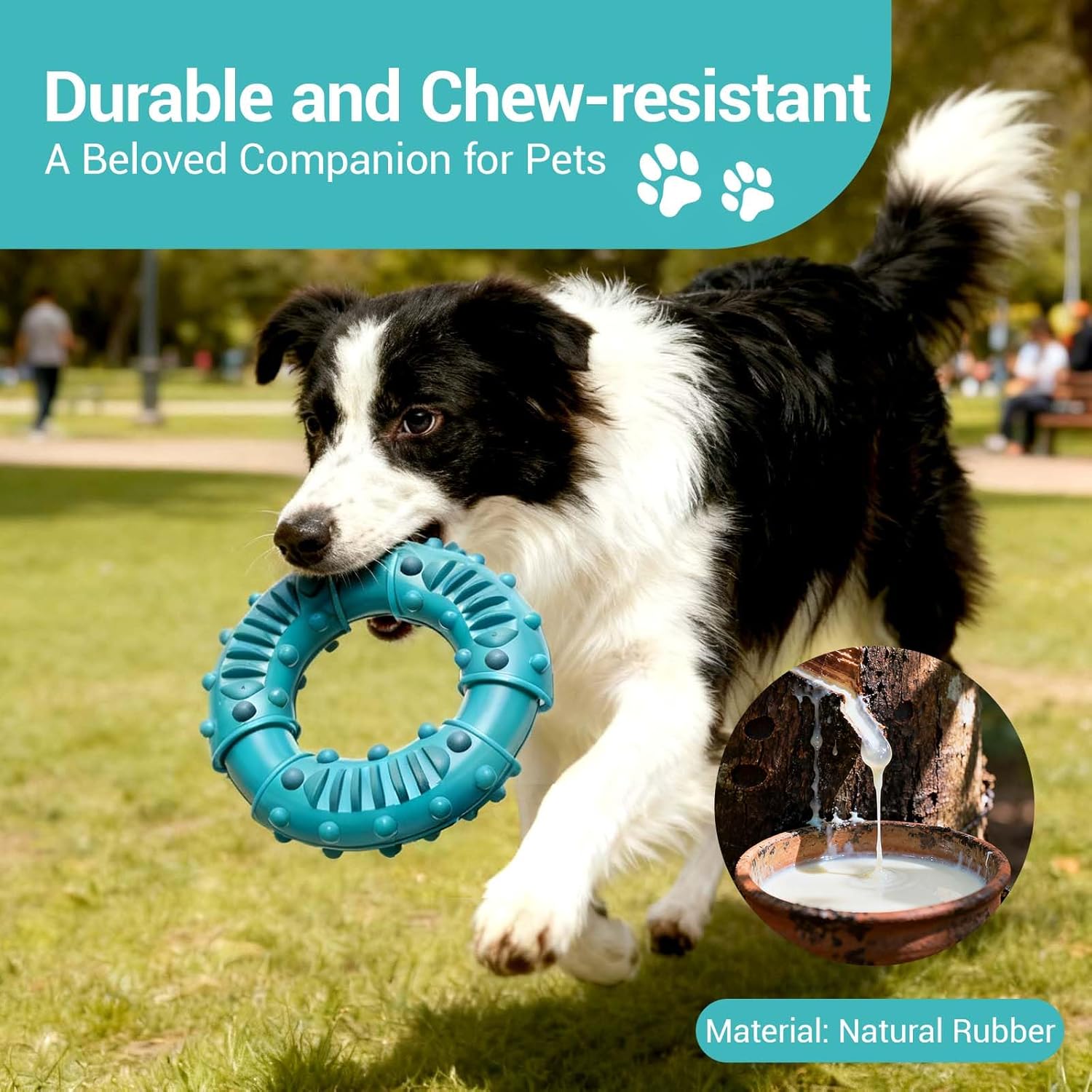 Thumbnail 1 de FSZMMJJ natural solid rubber dog chew ring toy (blue) for aggressive chewers