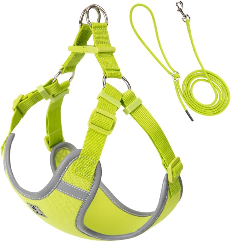 Small Combination Small Combination Combination Nylon Dog Harness with Reflective Strips, Adjustable Straps and Matching Lead (Bright Green, XXXS)