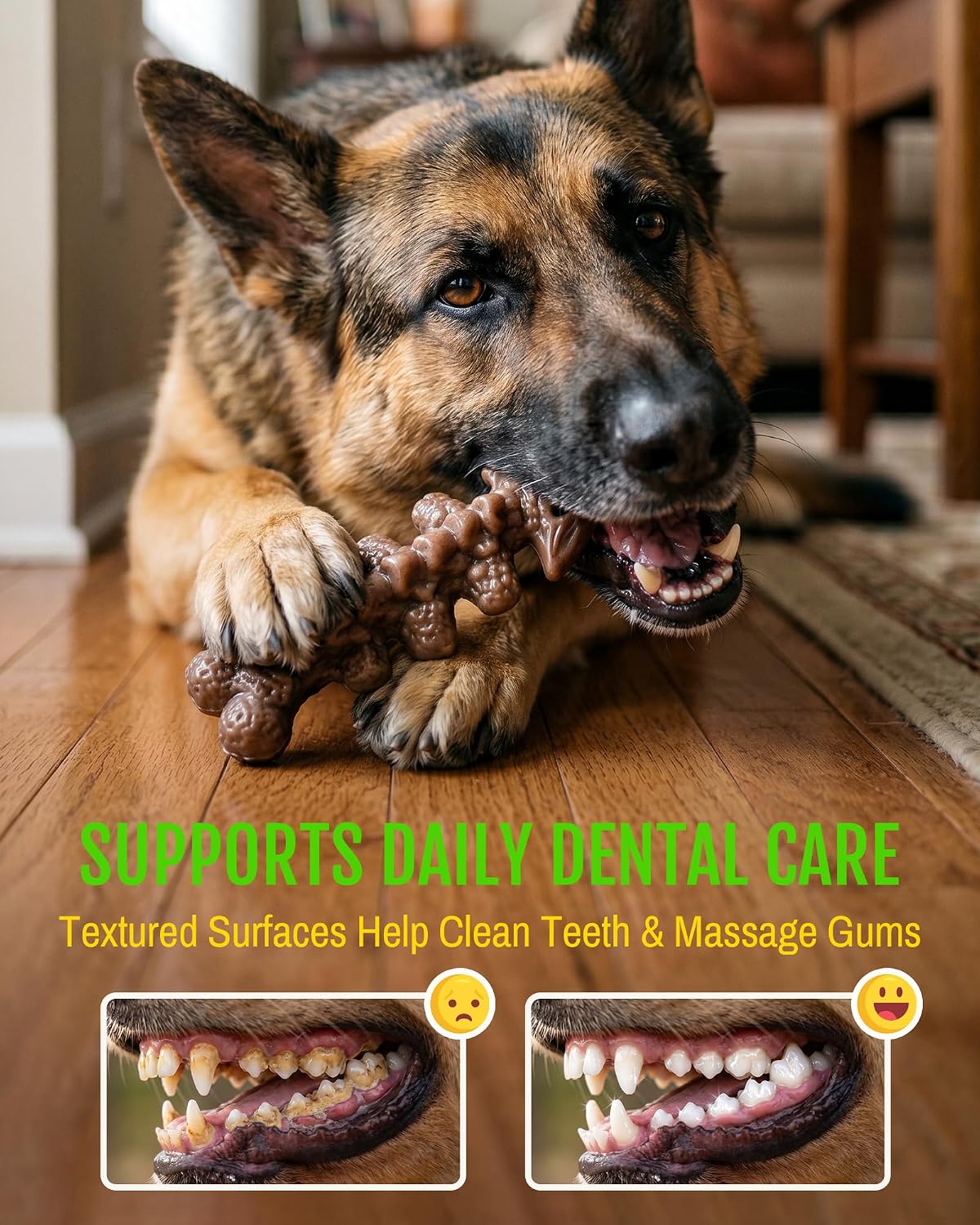Thumbnail 3 de ChienBox Dog Chew Toys, Nylon