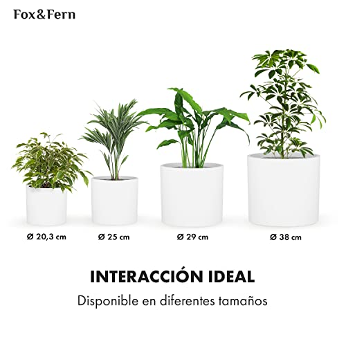 Thumbnail 5 de Fox & Fern Pot de Fleur extérieur, grande taille ⚙