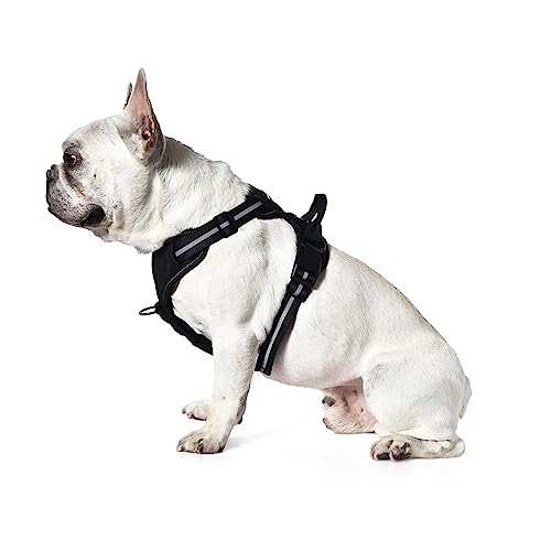 Detalle de Amazon Basics Arnés perro sin tirones pequeño