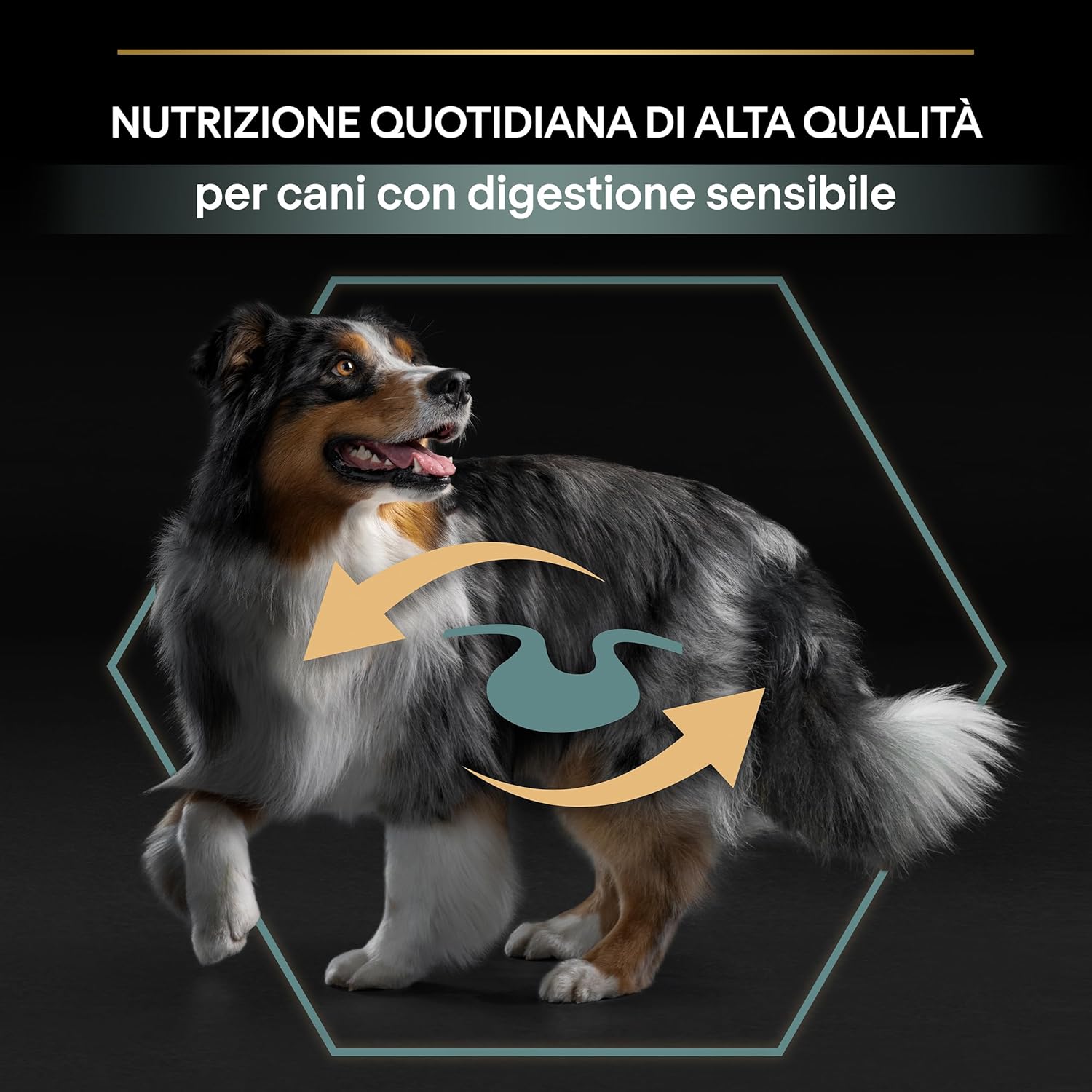 Detalle 2 de Purina Pro Plan Medium Adult Optidigest Crocchette Cane, sacco da 14 kg