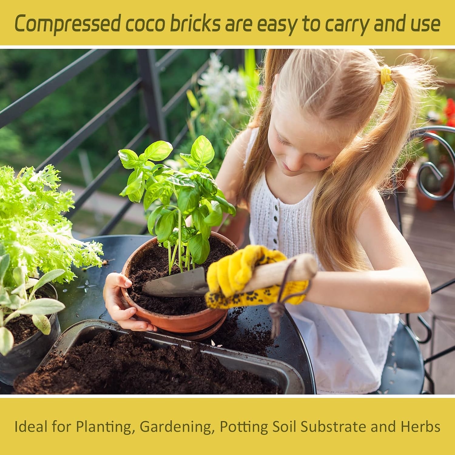 Thumbnail 6 de Legigo Coco Coir Brick, 1.4 lb