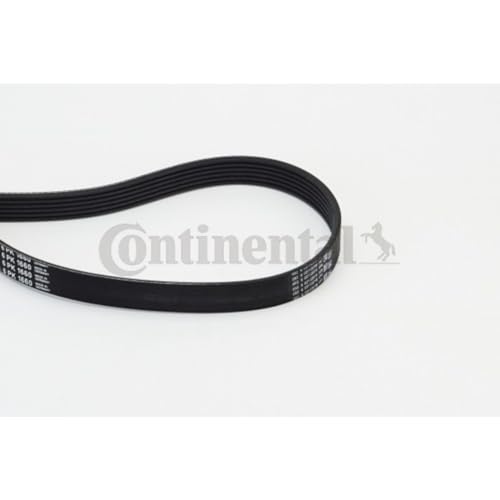 Detalle de Courroie trapézoïdale Continental Contitech 6PK1660 ⚙