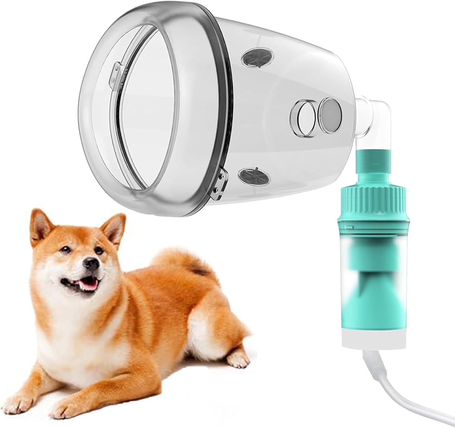 Thumbnail 6 de Pet Matching Cup and Face Mask Set, Green