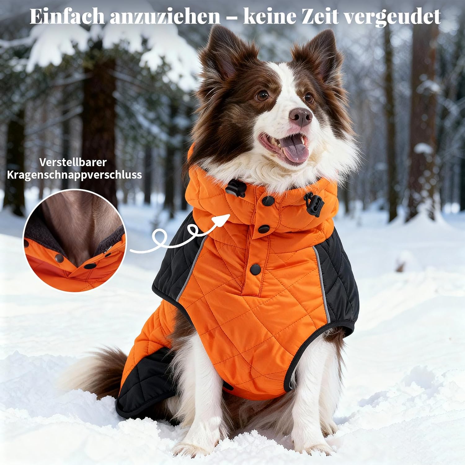 Thumbnail 1 de BECROWM dog winter coat (orange, X-small) with fleece lining, water-resistant outer, reflective strip and leash hole