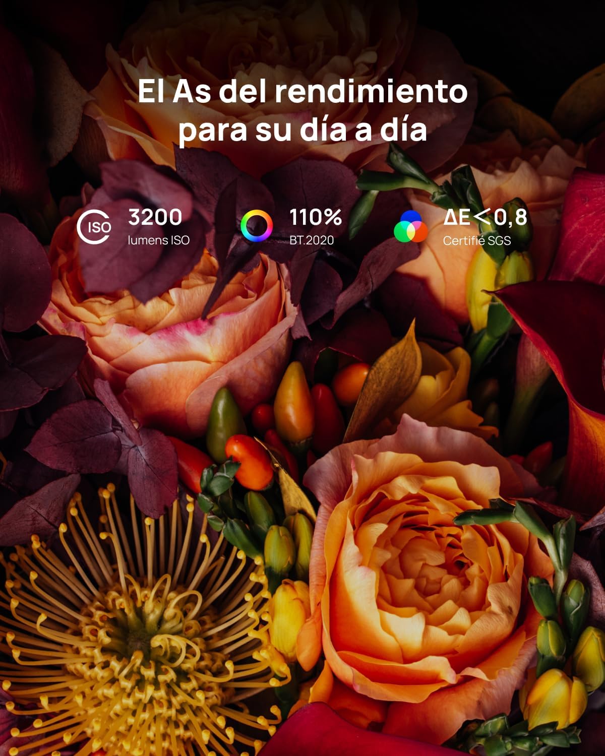 Detalle 2 de XGIMI Horizon 20 Proyector láser 4K