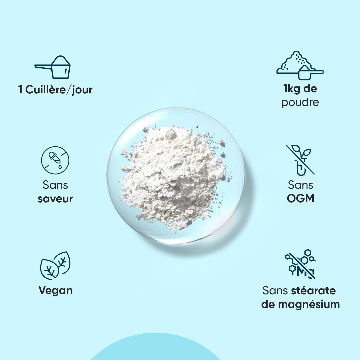 Detalle de WeightWorld Creatine Monohydrate 1 kg đź§Ş