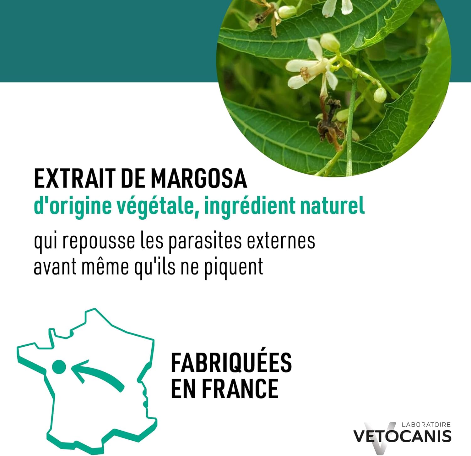 Detalle 1 de Vetocanis Spray anti-puces, anti-tiques et anti-moustiques pour chien – 500 ml, protection jusqu’à 12 jours