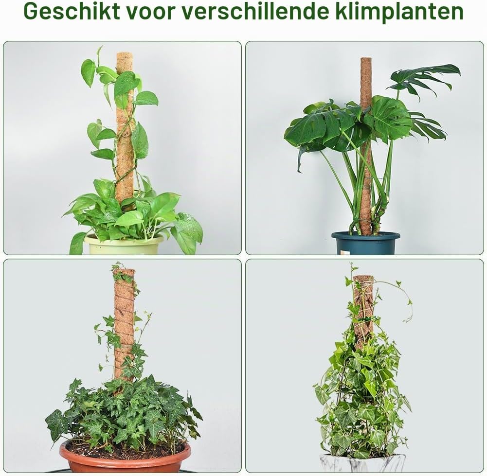 Thumbnail 6 de Vicloon 4pcs 40cm plantensteunen van natuurlijke kokosvezel, set van 4