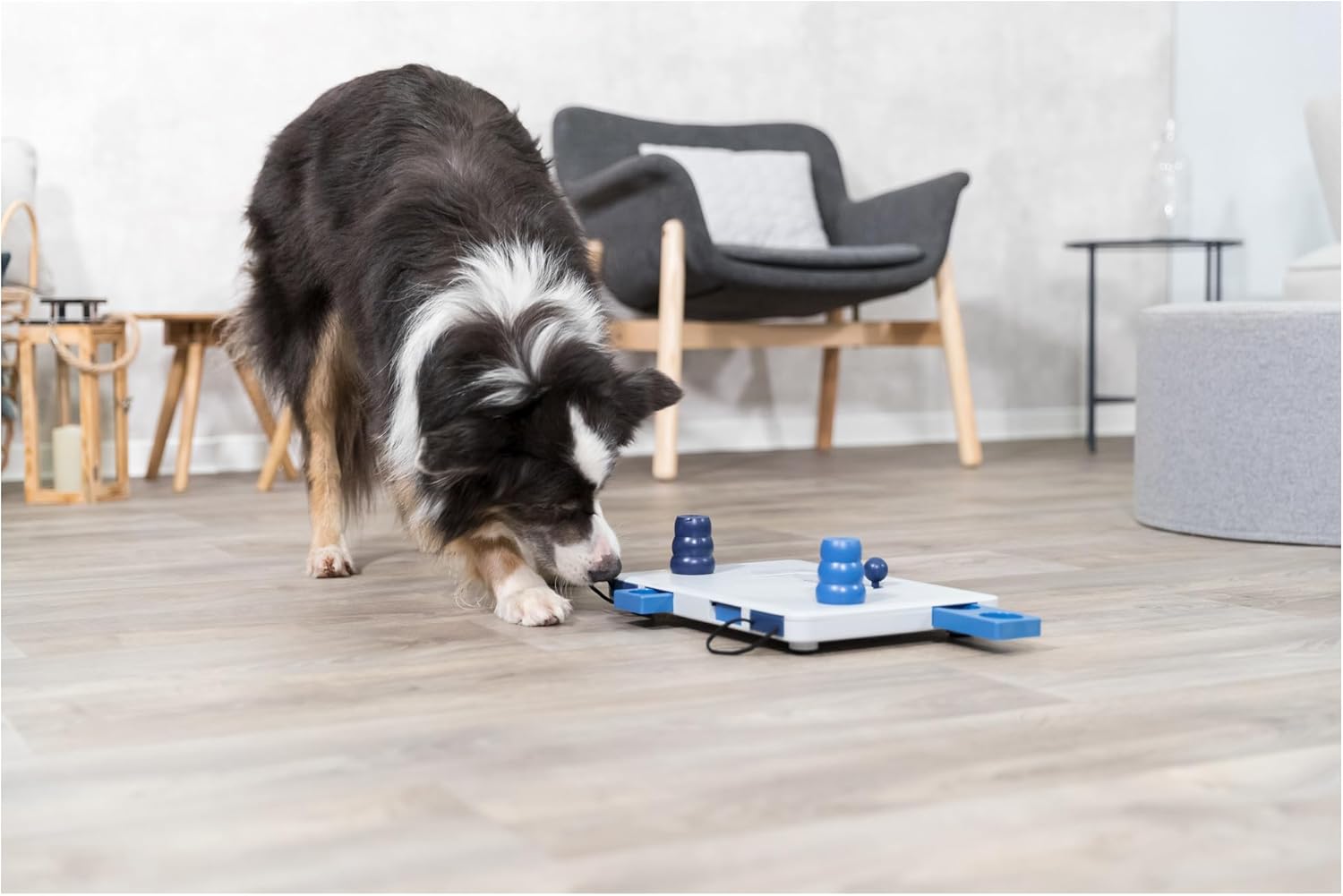 Detalle de TRIXIE Move2Win Strategy Game – Intelligence Toy for Dogs (34 × 23 cm)