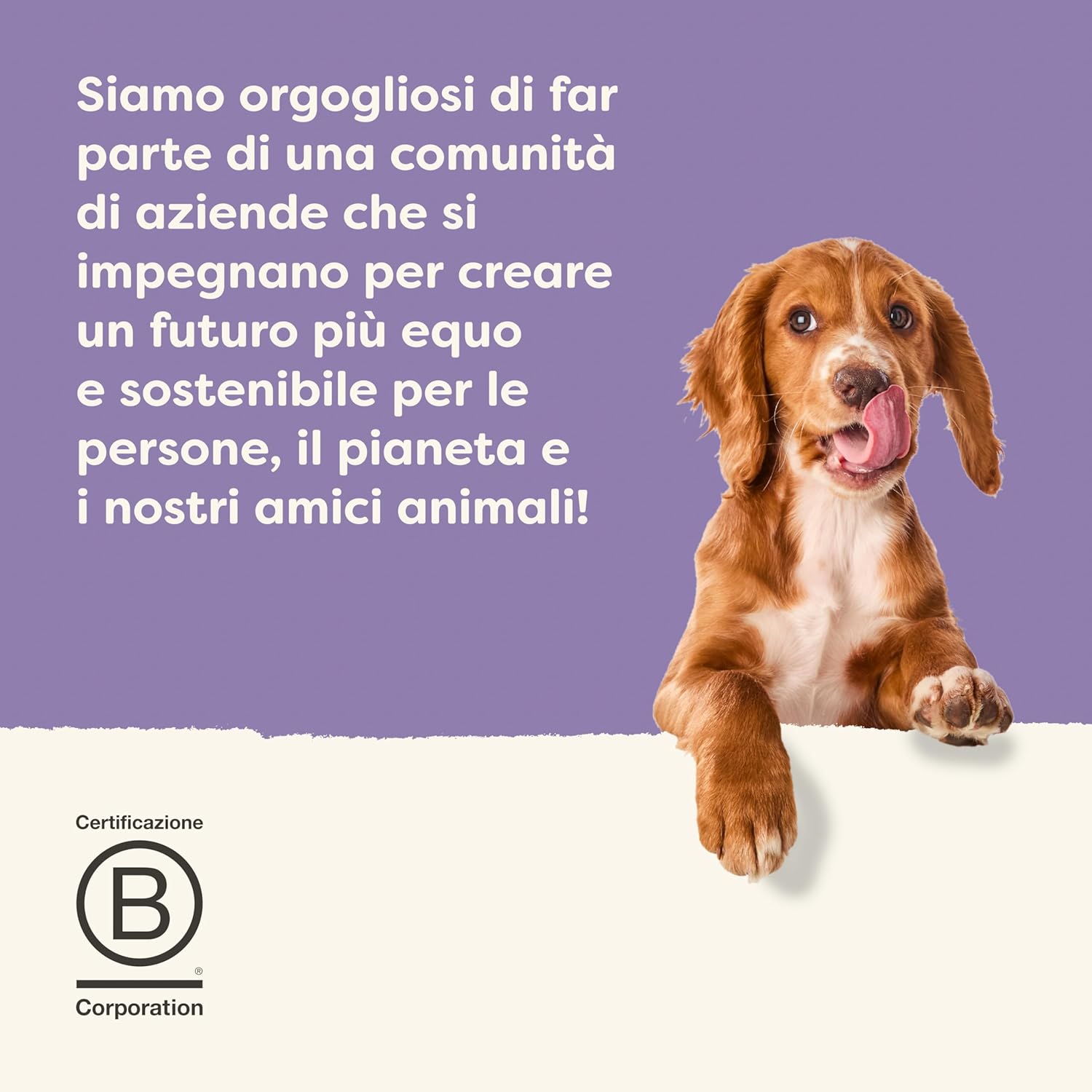 Thumbnail 6 de Applaws Cibo Umido Naturale per Cani – Selezione Carne & Pesce in Brodo, Senza Cereali, 6 x 85g