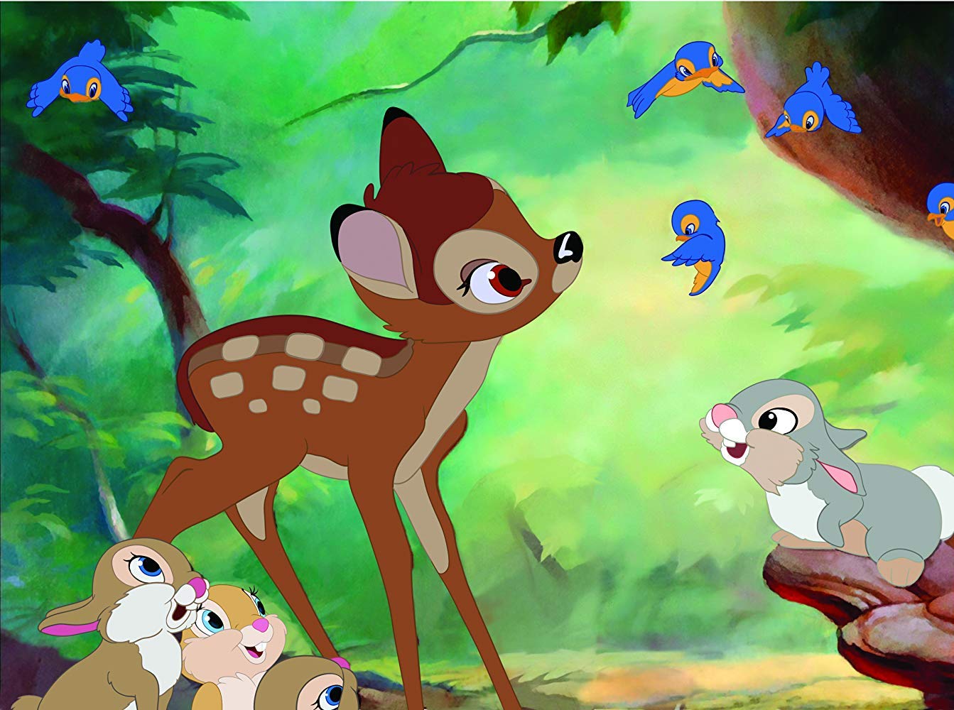 Thumbnail 3 de Divisa HV Bambi (2014) DVD