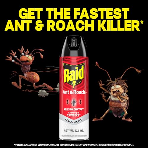 Detalle de Raid Ant & Roach Killer Bug Spray, Fragrance Free, 17.5 oz, 2 Count