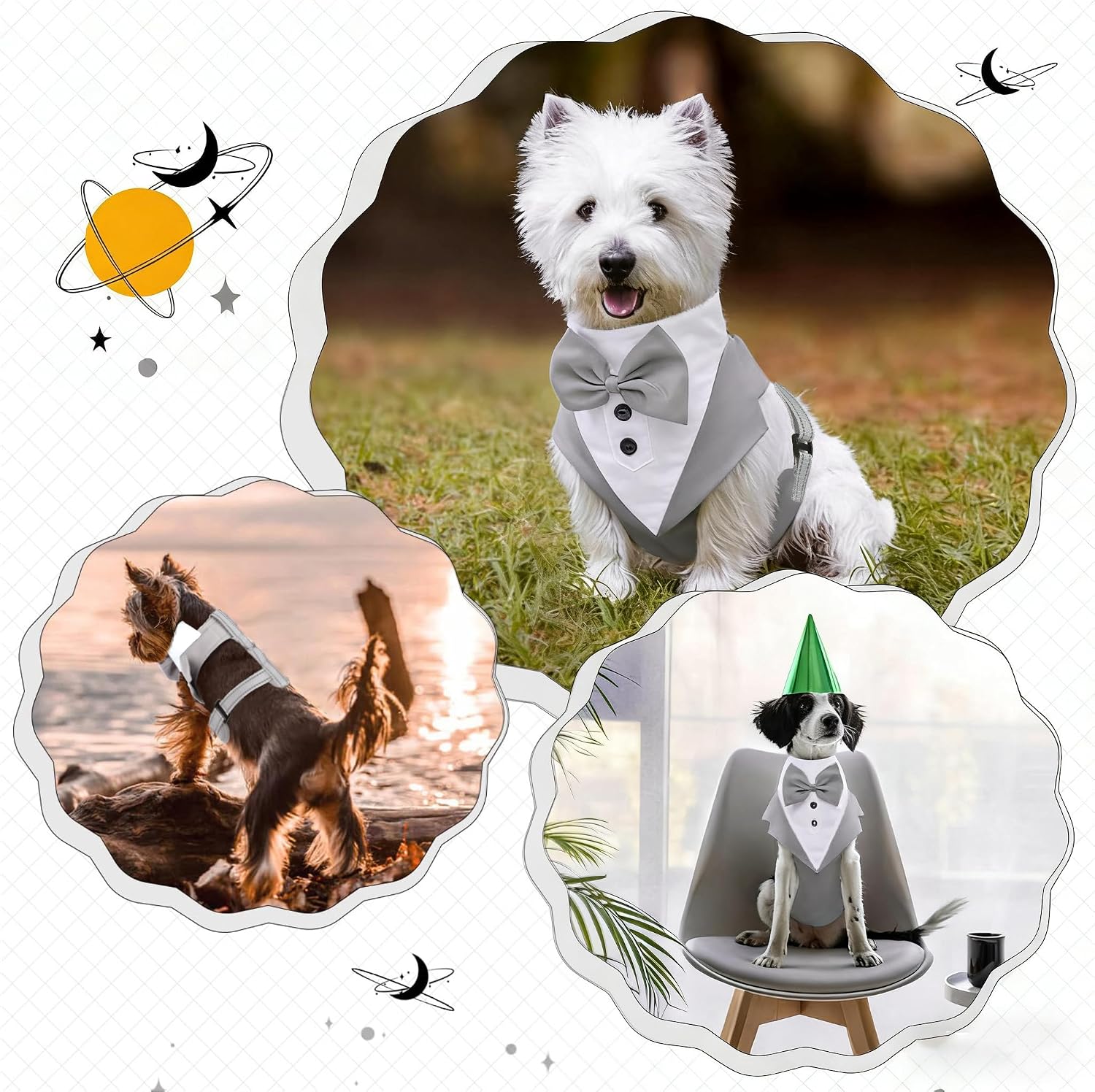 Thumbnail 6 de OUOBOB Tuxedo Dog Harness: Formal Bow Tie Vest with No-Pull Leash for Small to Medium Dogs