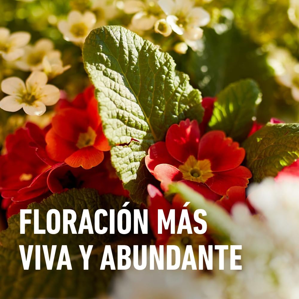 Detalle 2 de Compo Bio Fortigo Flores 🌸 1L para plantas