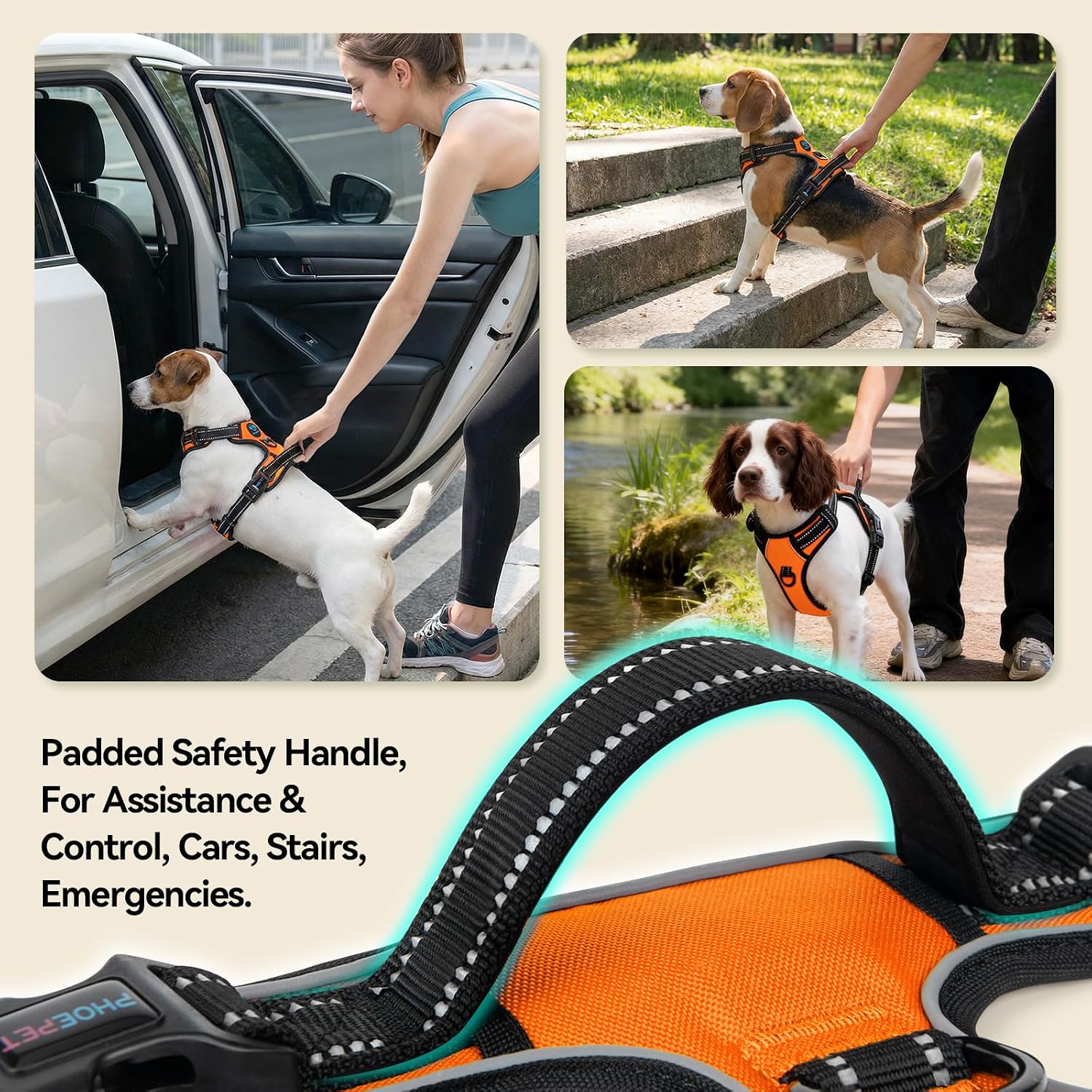Detalle 2 de PHOEPET Dog Harness, XS