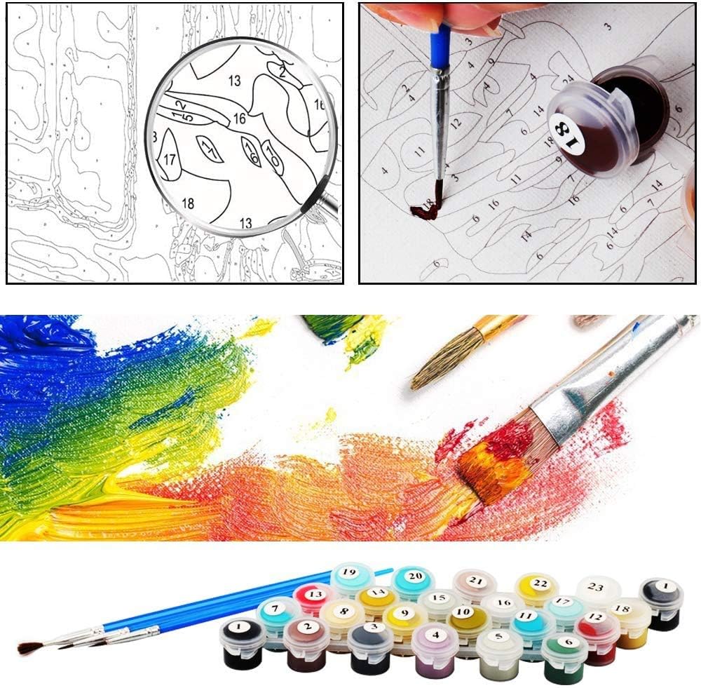 Thumbnail 1 de Painting by Number Kits for Adult 16x20 inch