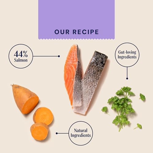 Thumbnail 6 de Pooch & Mutt Health & Digestion Complete Dry Dog Food (Grain Free) – Salmon & Sweet Potato, 2kg