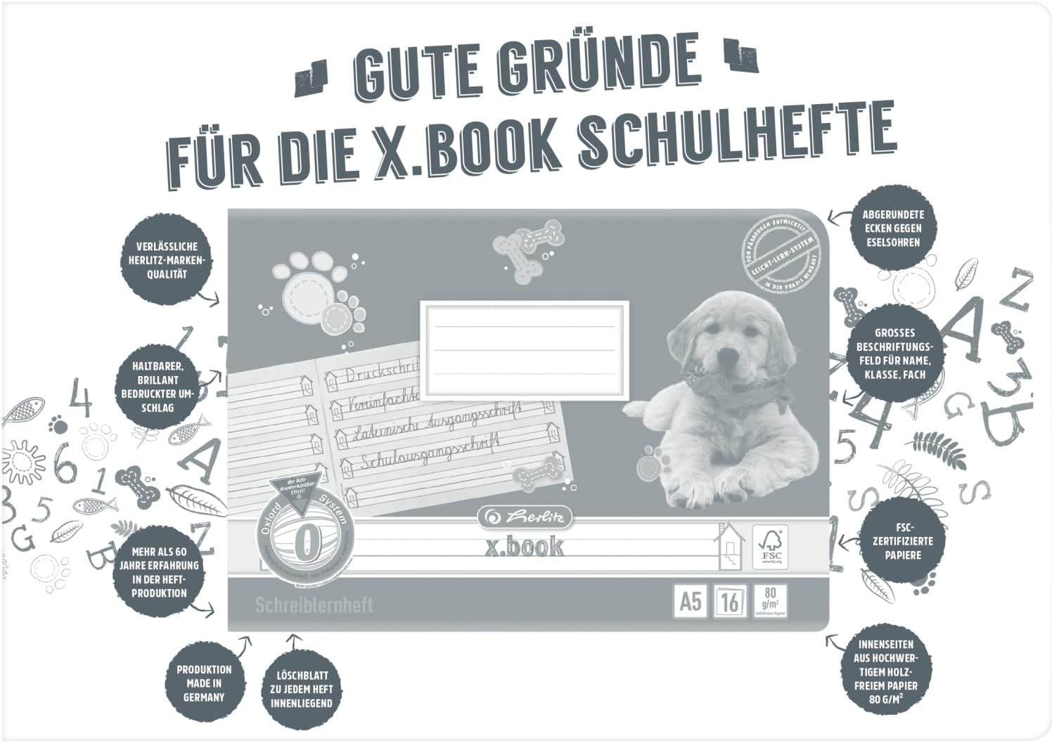 Thumbnail 5 de Herlitz x.book Schulheft A5 Lineatur 0, Klasse 1 – 16 Blatt, 10 Stück
