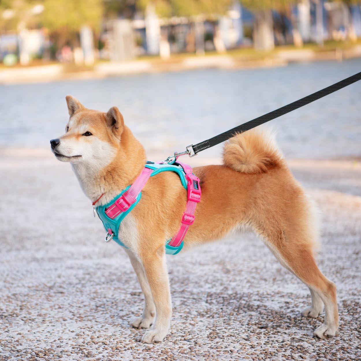Thumbnail 2 de PHOEPET Anti-Zug Hundegeschirr verstellbar mit Reflektoren, Trainingsgriff & Metallclips (L, Minzgrüne Basis & Pinke Träger)