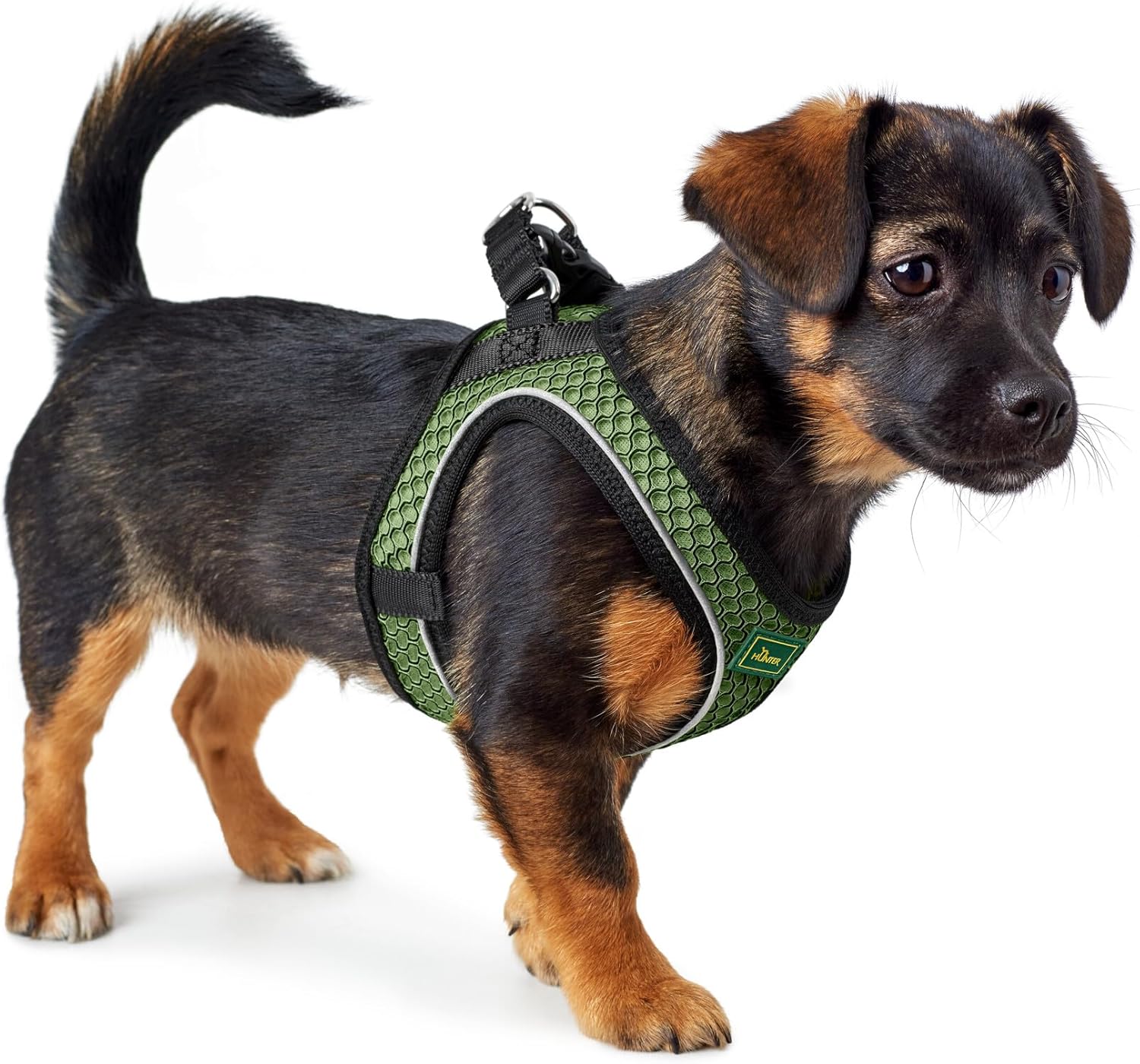 Thumbnail 4 de HUNTER Hilo Comfort Hundegeschirr S‑M lindgrün ⬛