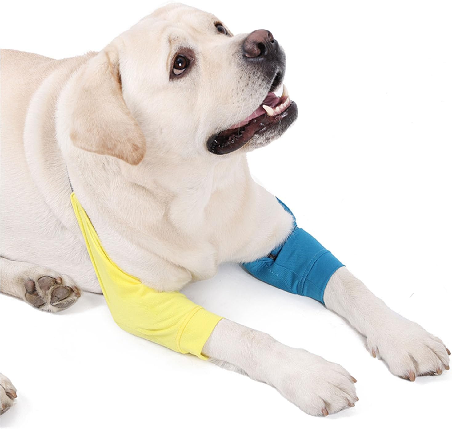 Thumbnail 3 de MeiAOBest Dog Front Leg Joint Protector Sleeve with Pad (Yellow/Blue) – for medium to large dogs
