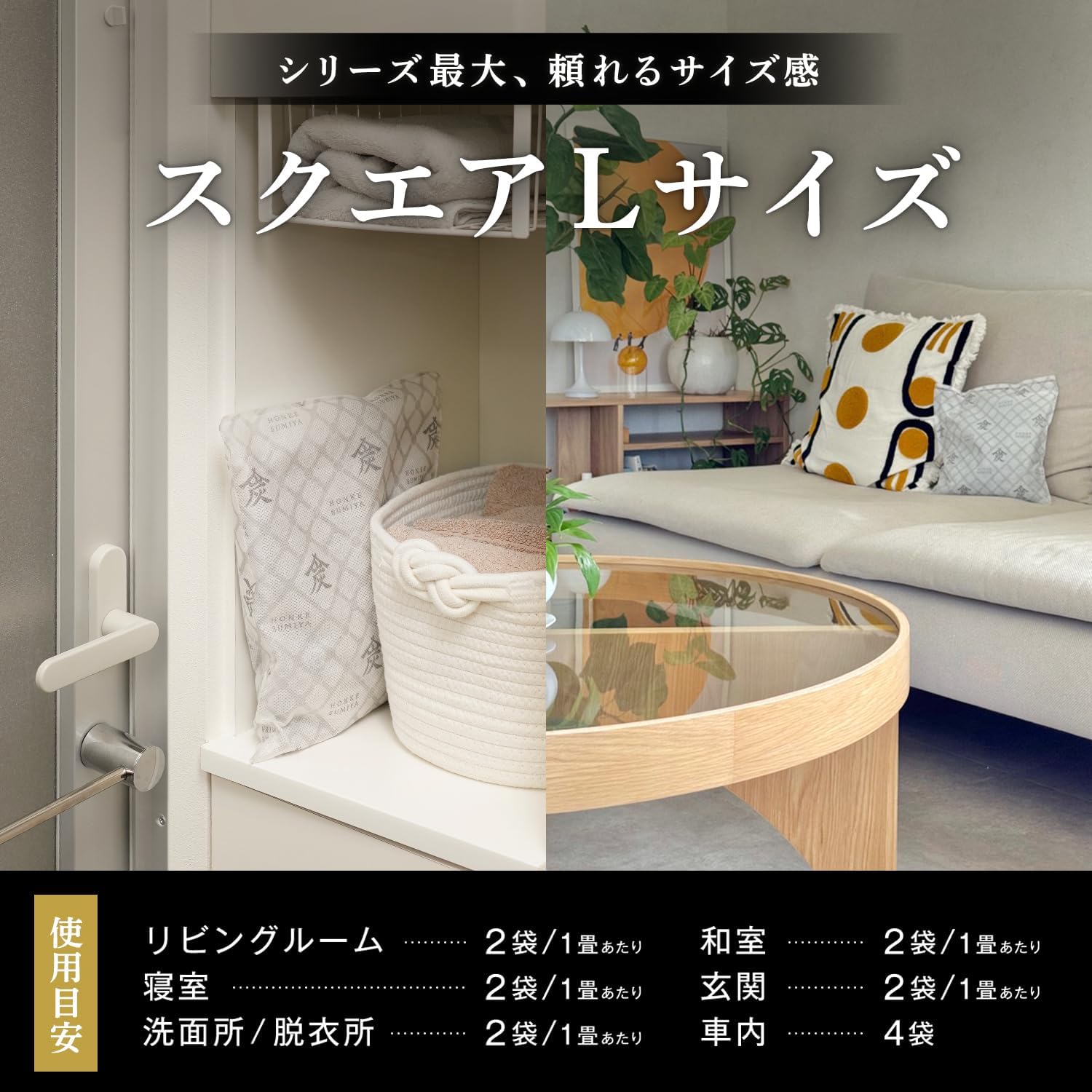 Detalle de レック 本家炭屋 スクエアタイプ L 1000g 除湿・消臭剤 奈良吉野産天然素材