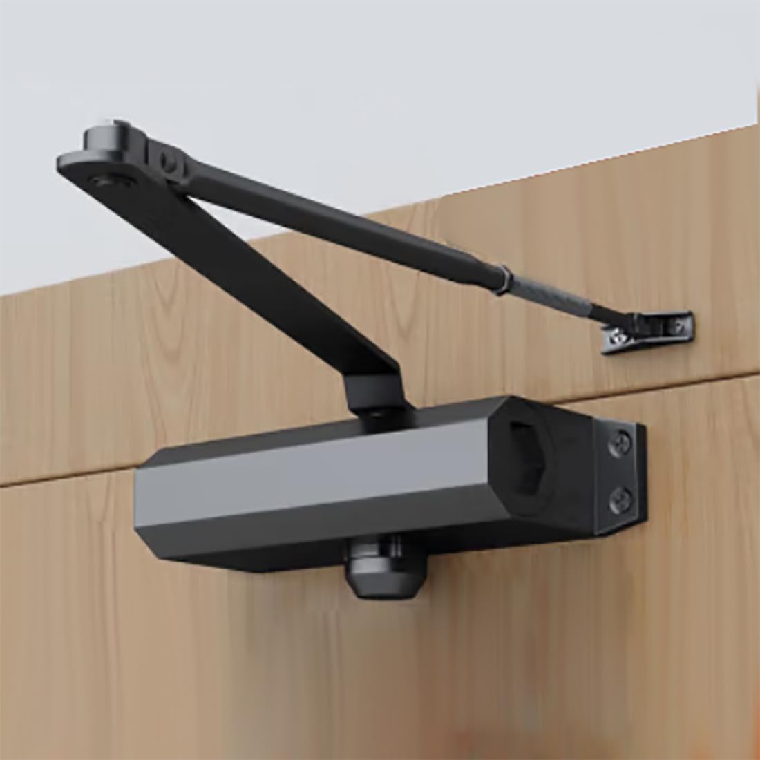 Thumbnail 1 de Hydraulic door closer, 45 kg capacity
