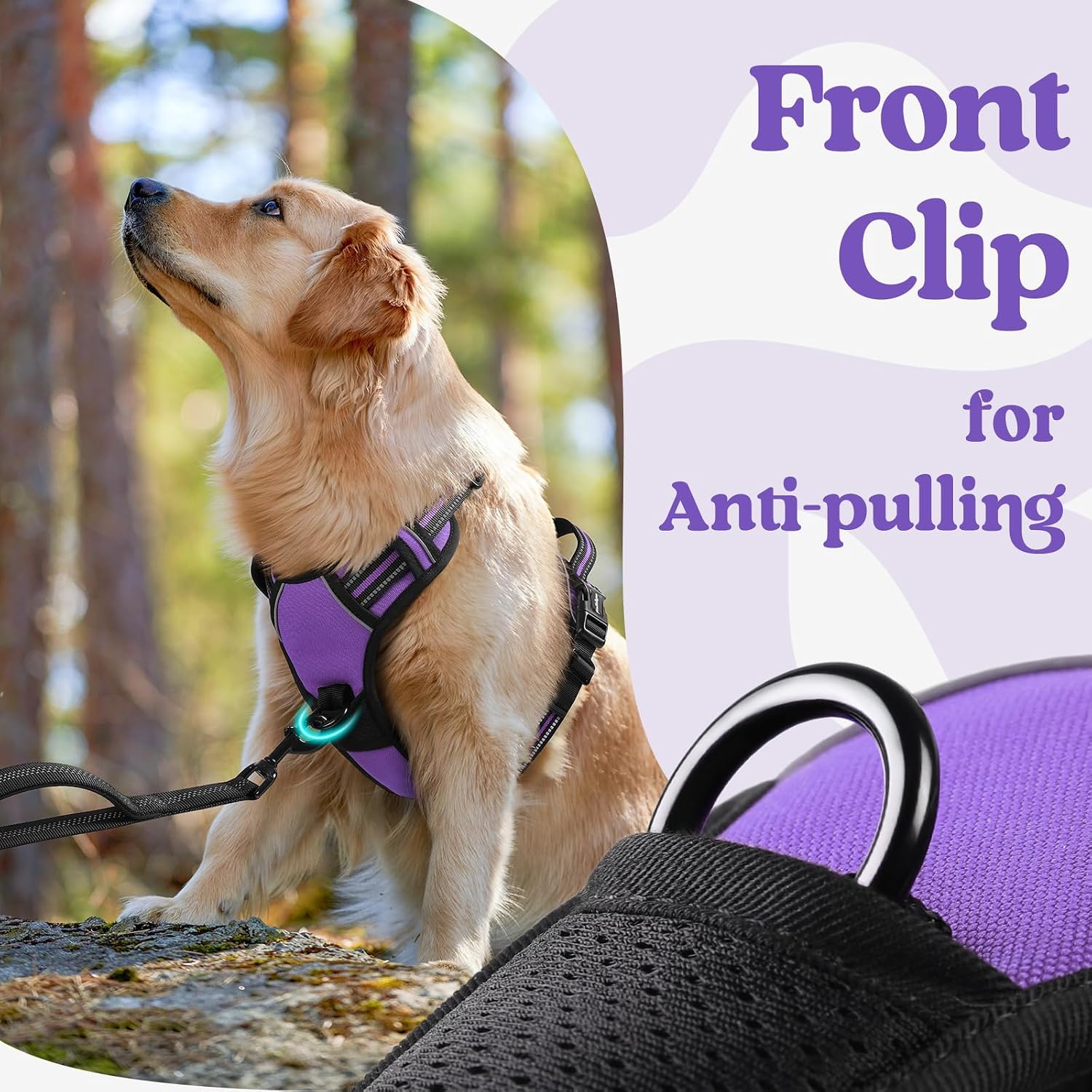 Detalle 2 de rabbitgoo DGBDSCKK01LPE24CW-EU Dog Harness, Large Purple, 3 Buckles