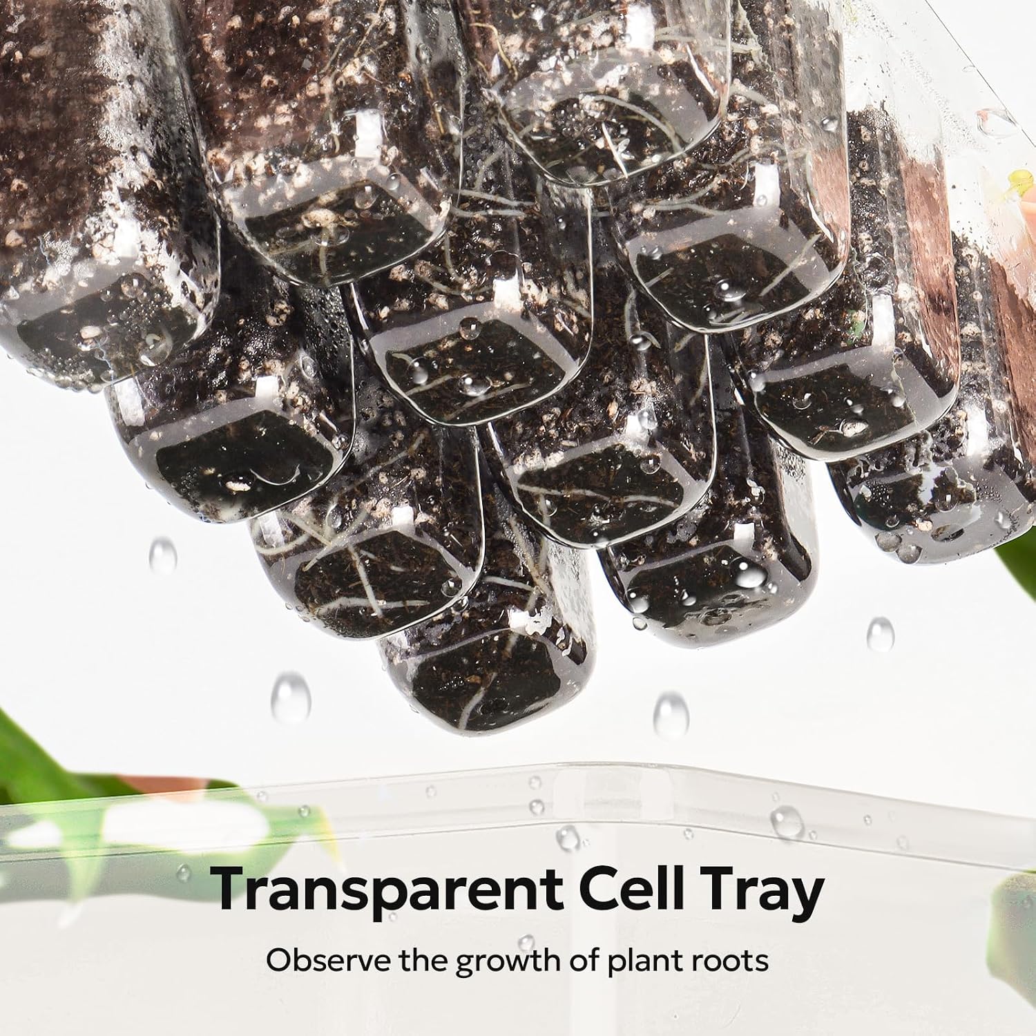 Thumbnail 4 de MIXC Seed Starter Tray, 120-Cell