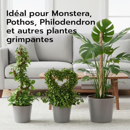 Thumbnail 6 de Wigearss 2 Pièces Tuteur Plante Grimpante en Coco sur Piquet 60 cm – Support flexible pour Monstera et Vignes d’intérieur