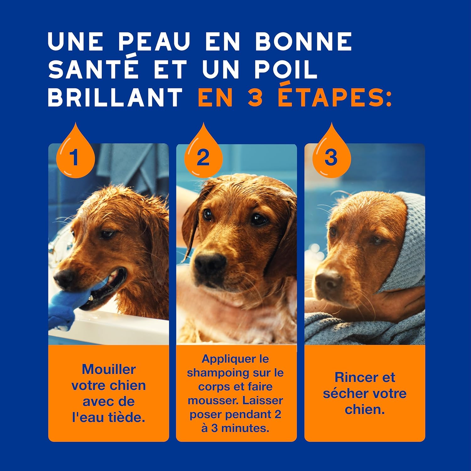 Detalle de DOUXO Skin & Coat Spa – Shampoing 2 en 1 démêlant pour chiens, 250 ML, nettoie et hydrate en profondeur peau et pelage