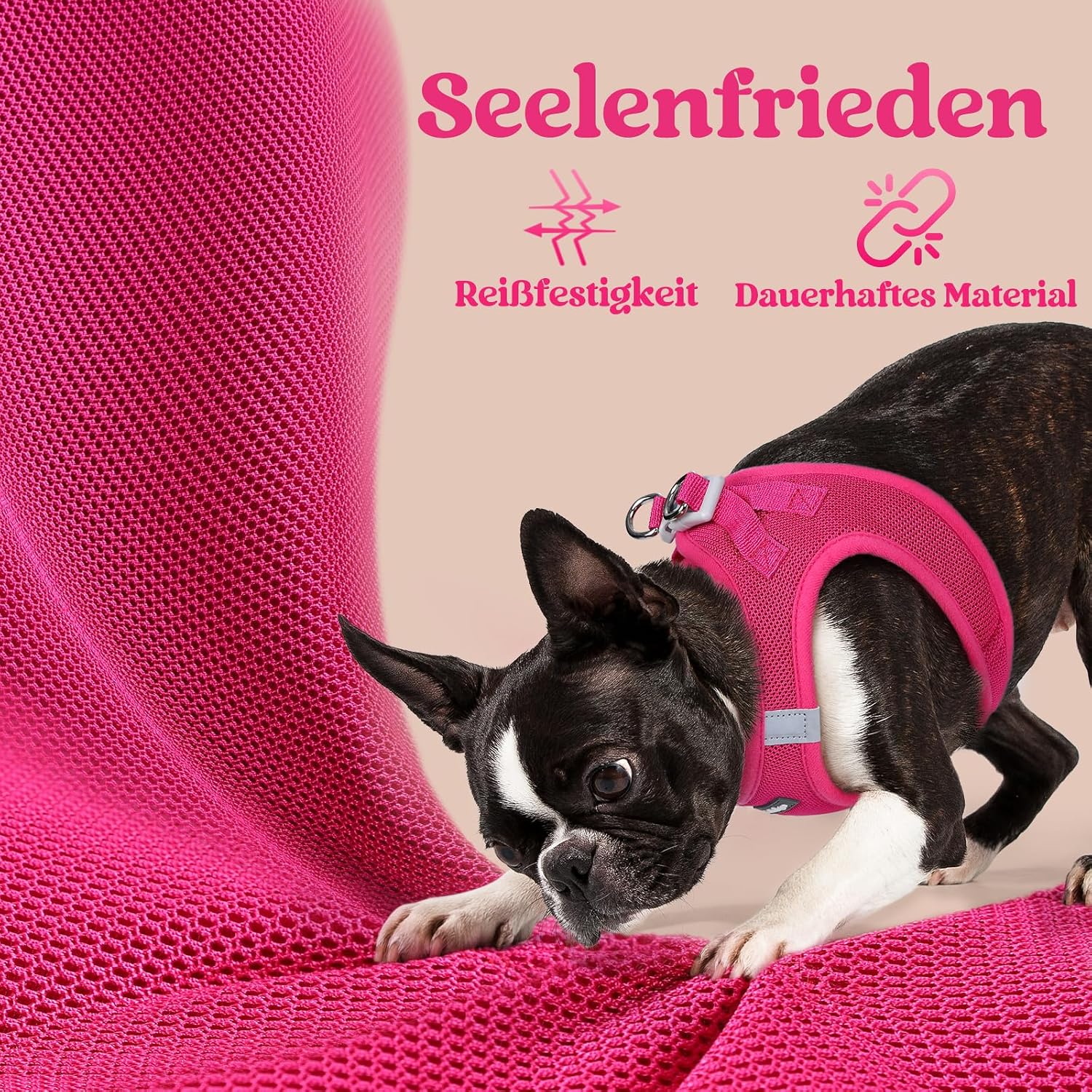 Thumbnail 6 de rabbitgoo Hundegeschirr für kleine Hunde (XS) – Step-in Welpengeschirr mit weichem Mesh, atmungsaktiv & reflektierend