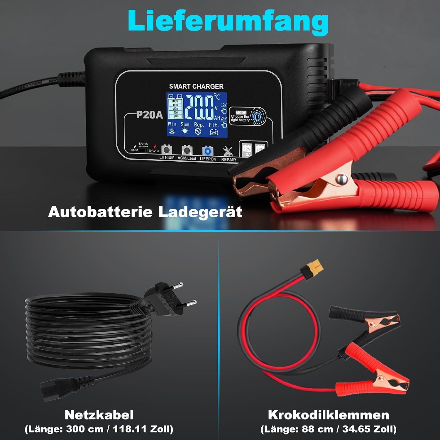 Thumbnail 6 de 20A Autobatterie Ladegerät 12V/24V