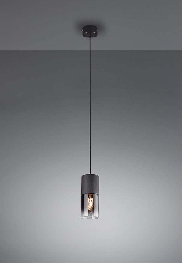 Detalle 2 de Trio Lighting 310600132 Robin lámpara techo colgante 1xE27 🛋