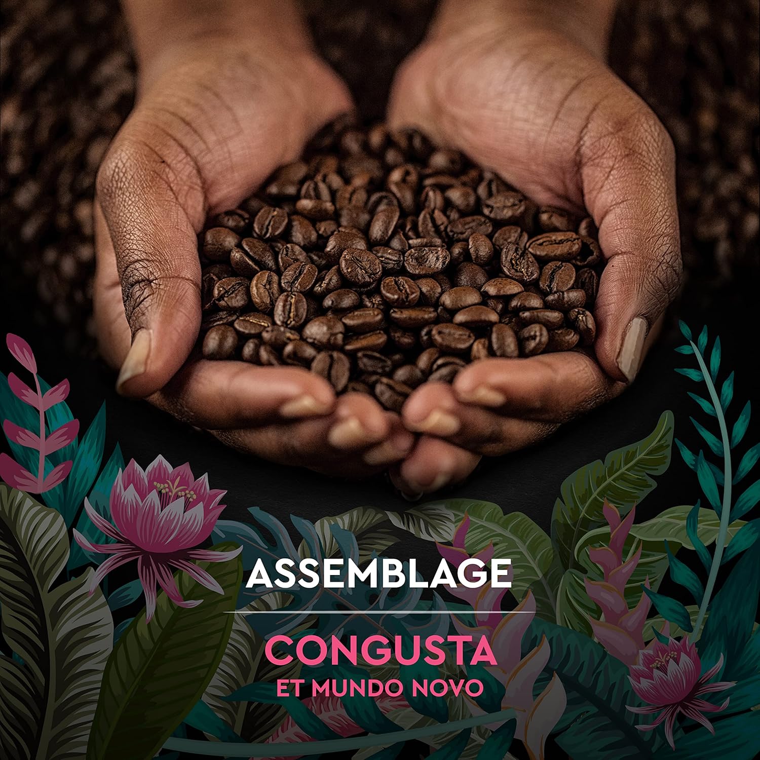 Thumbnail 1 de Carte Noire Café en grain Secrets de Nature – Assemblage Congusta & Mundo Novo, 1 kg