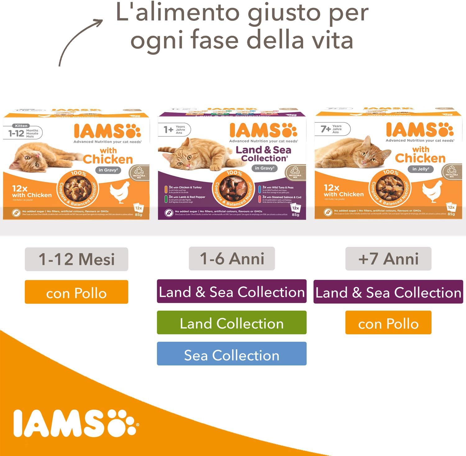 Thumbnail 5 de IAMS Delights Land & Sea Collection: alimento umido in gelatina per gatti adulti – 72 x 85 g