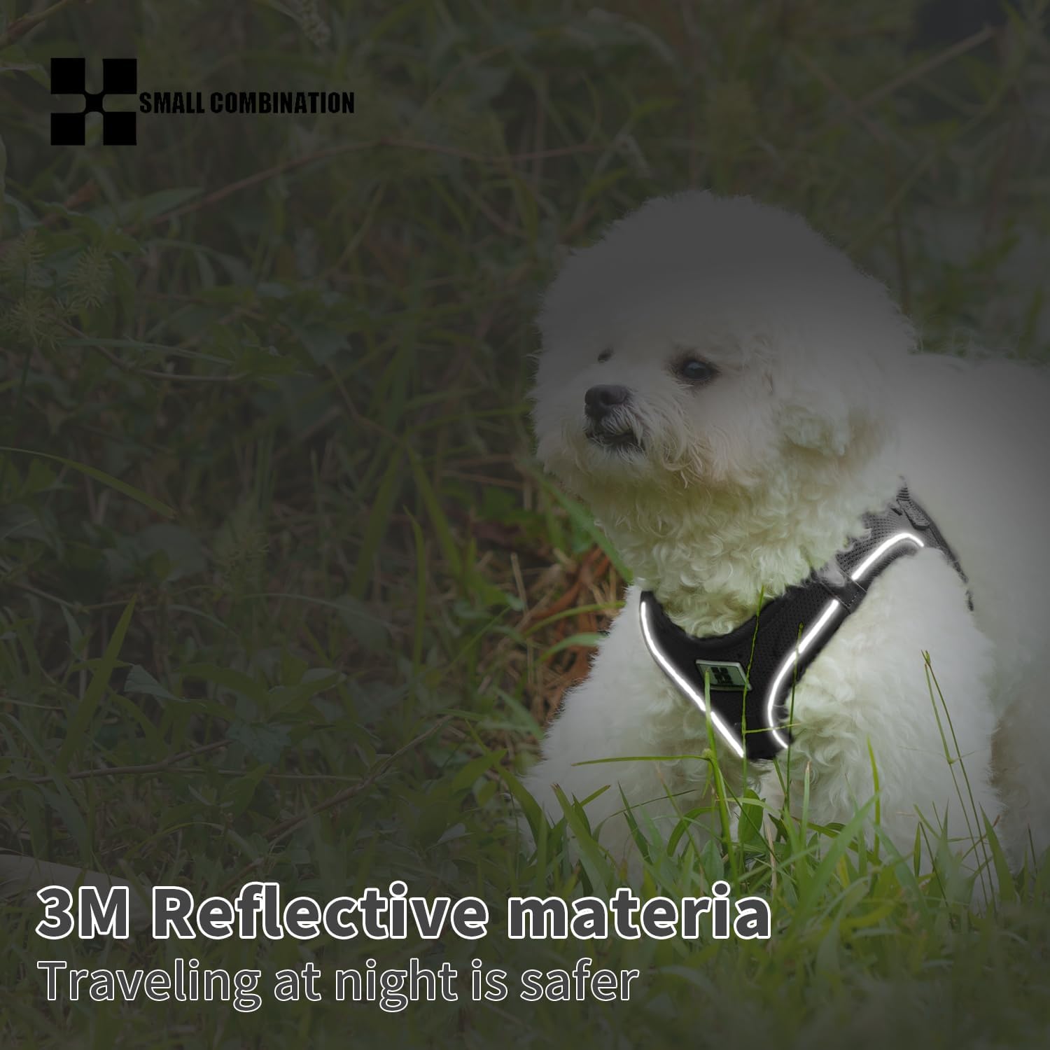 Thumbnail 6 de Small Combination Small Combination Combination Dog Harness Leash Set (Black, XXXS) with 360° reflective straps