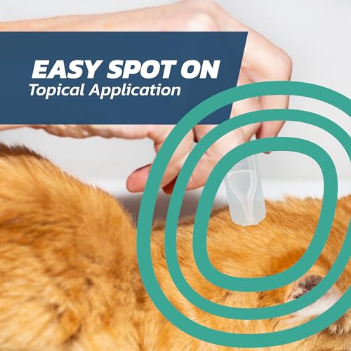 Detalle de Cat Flea Treatment Spot On x 6 – Flea & Tick Solution for Cats & Kittens Over 1kg