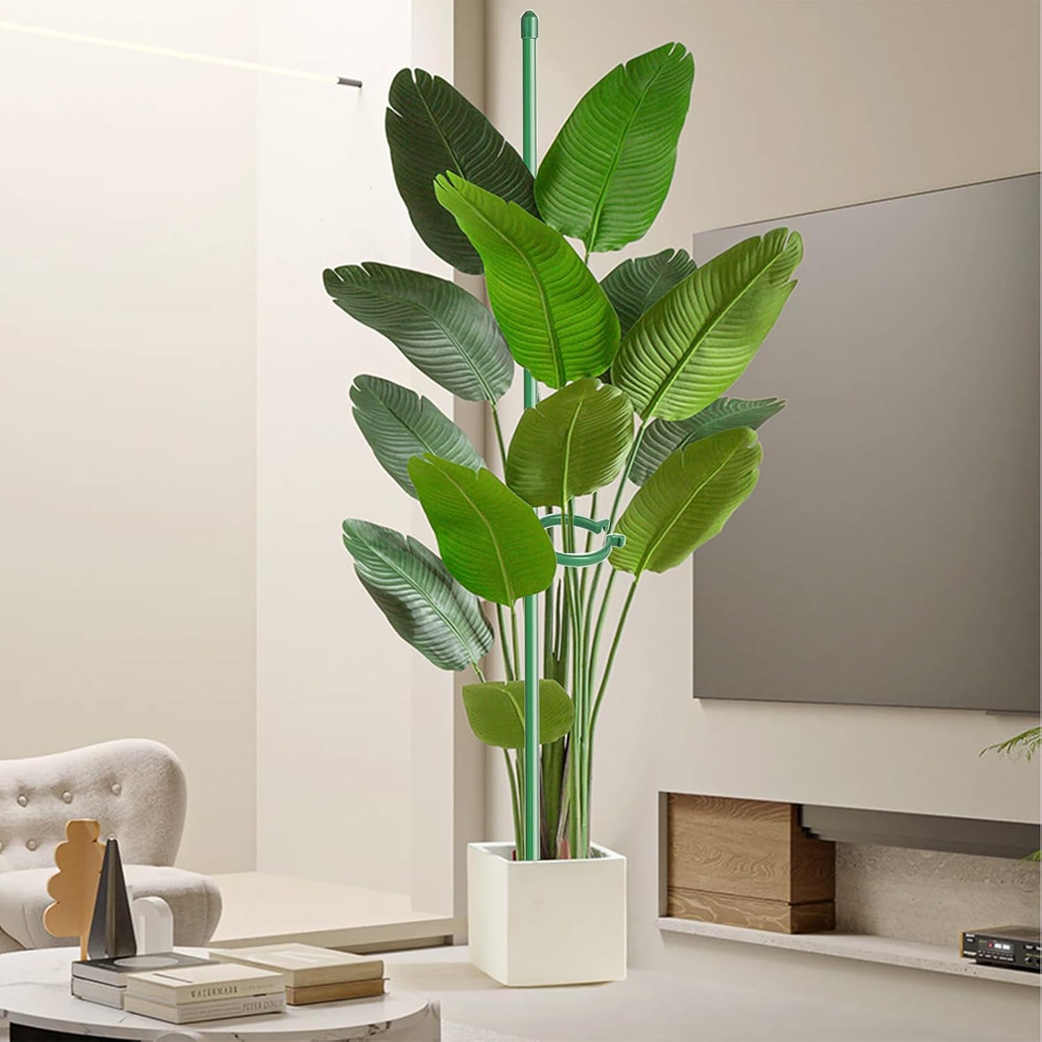 Detalle 1 de SYCARON Plant Support Stakes, 16 Inches