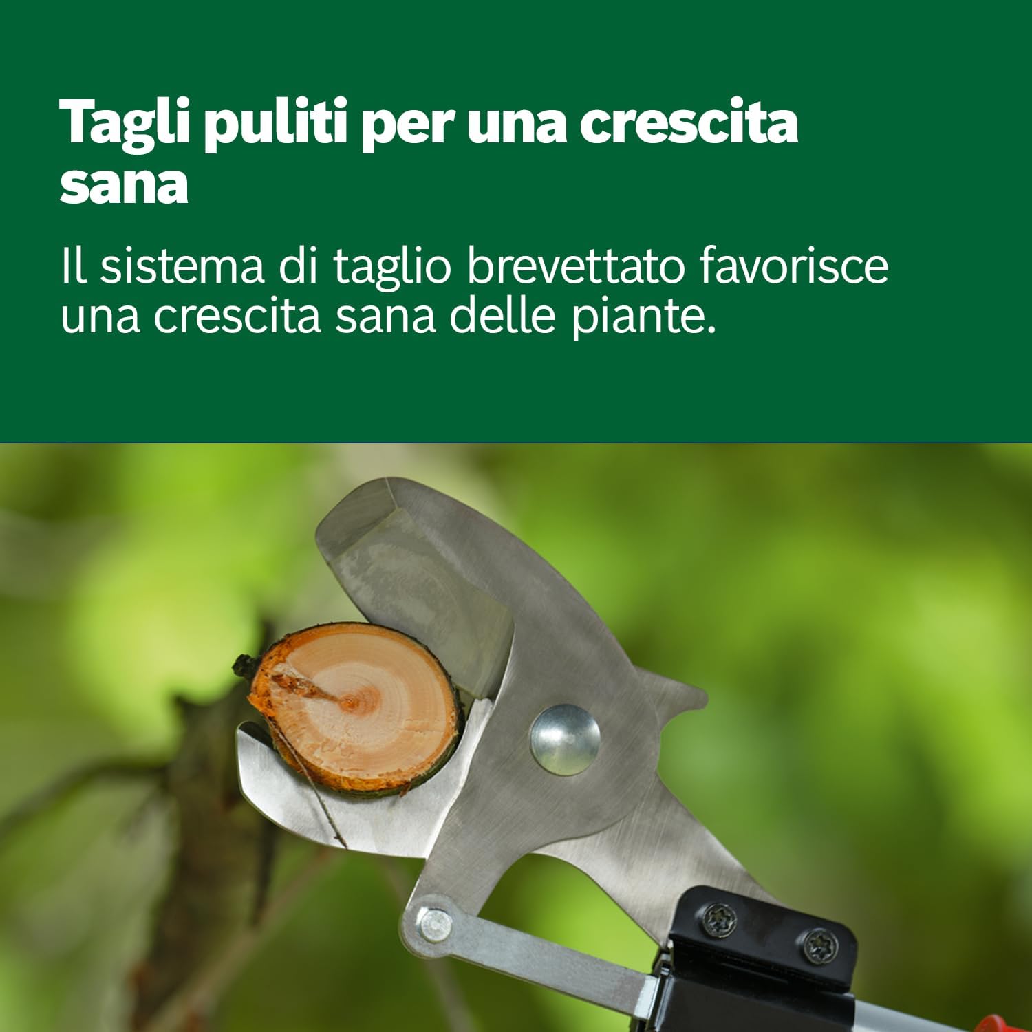 Thumbnail 4 de Bosch AdvancedPrune 18V-45 a batteria: forbici da potatura per rami fino a 45 mm