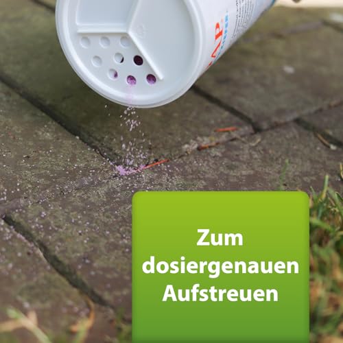 Detalle 2 de ARDAP Repell Ameisenmittel 500g – Ameisenpulver mit Sofort- & Nestwirkung