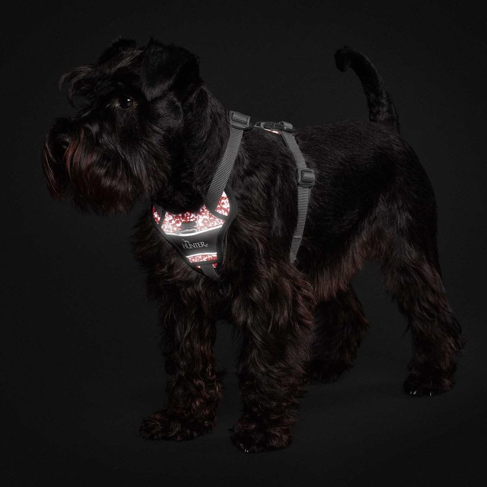 Detalle de HUNTER Geschirr Divo Reflect 72-100/L – reflektierendes Hundegeschirr in L (72–100 cm)