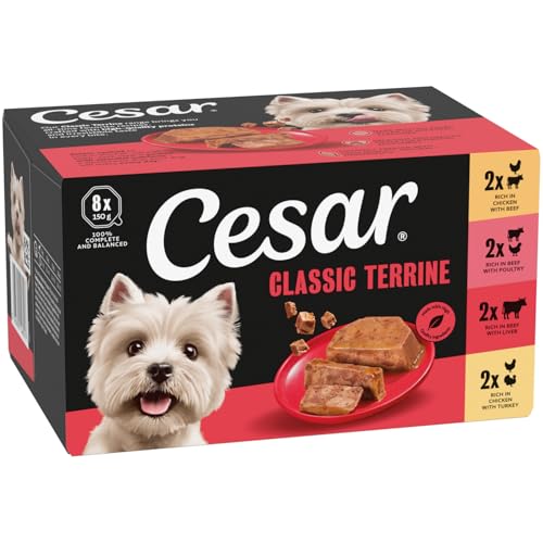 Detalle 2 de CESAR ClassicTerrine Wet Dog Food – Mixed Selection in Jelly (8x150g) – Pack of 3