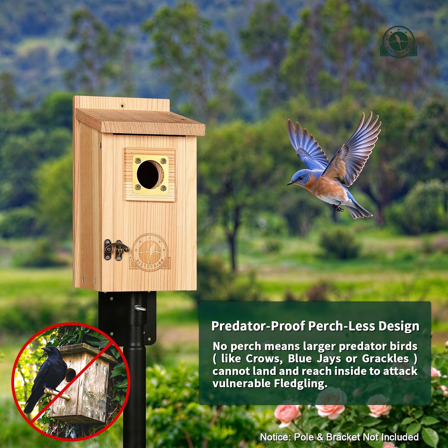 Detalle de SISTERBIRD 2-Pack Cedar Bird Houses with Copper Guard — Outdoor Bluebird, Wren, Swallow, and Chickadee Homes