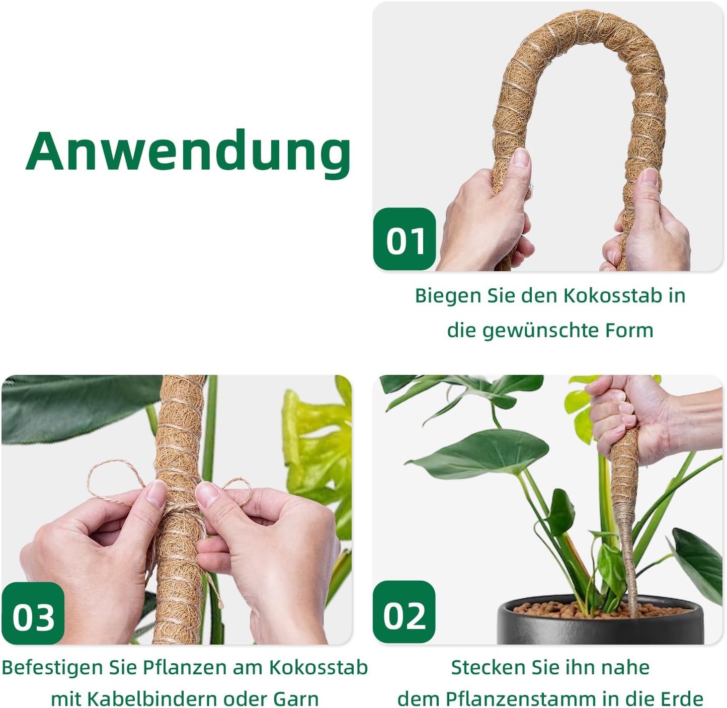 Thumbnail 3 de Mcbazel 160 cm Monstera Rankhilfe aus Kokosfaser mit Zubehör – Pflanzenstütze für Kletterpflanzen im Innenbereich